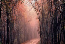 人人体育：乒乓球亚洲杯开打 孙颖莎揭幕战拿下“开门红”.