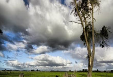 人人体育：[冠军欧洲]切尔西完胜马竞 时隔七年重返八强.