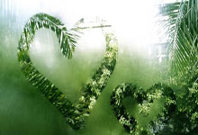 米兰之路劲敌环伺——短道速滑世锦赛综述.